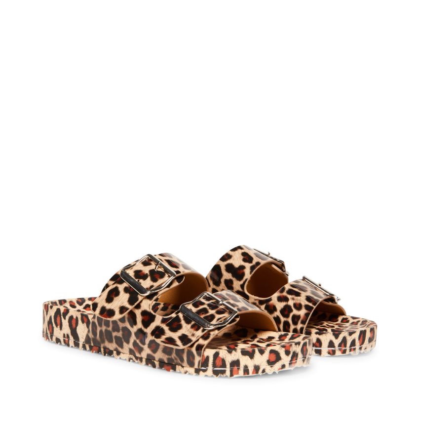 Leopard Steve Madden Teddy-t Women\'s Slides | PH 4173QLA